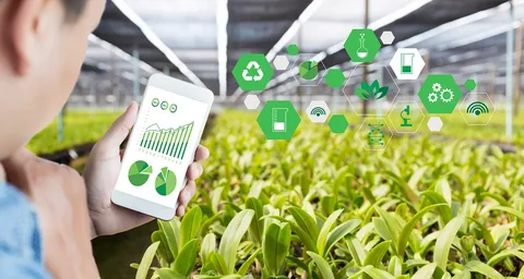 Digital Tools for Smarter Farm Management