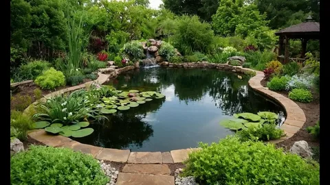 Reliable Pond Maintenance Solutions for Essex Homes